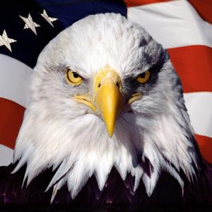 america-eagle